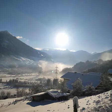 Haslinggut 아파트 *