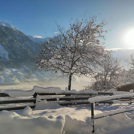 아파트 Haslinggut