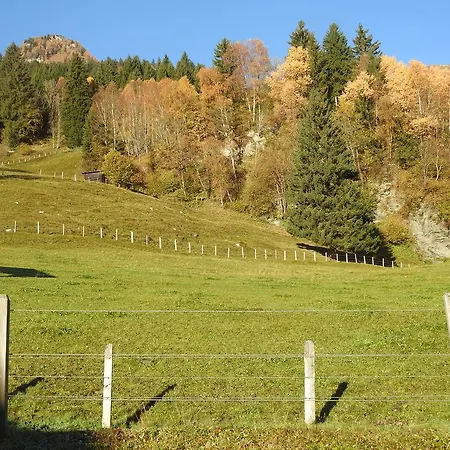 Haslinggut 아파트 배드호프가스타인