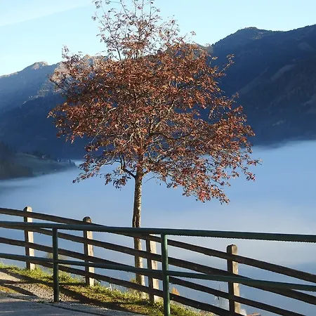 Haslinggut 아파트